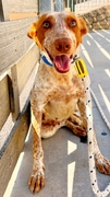 KINDER Image 3